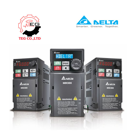 bien tan delta ms300
